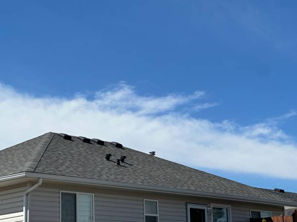 Roof Insulation in Logan Elm Village, OH